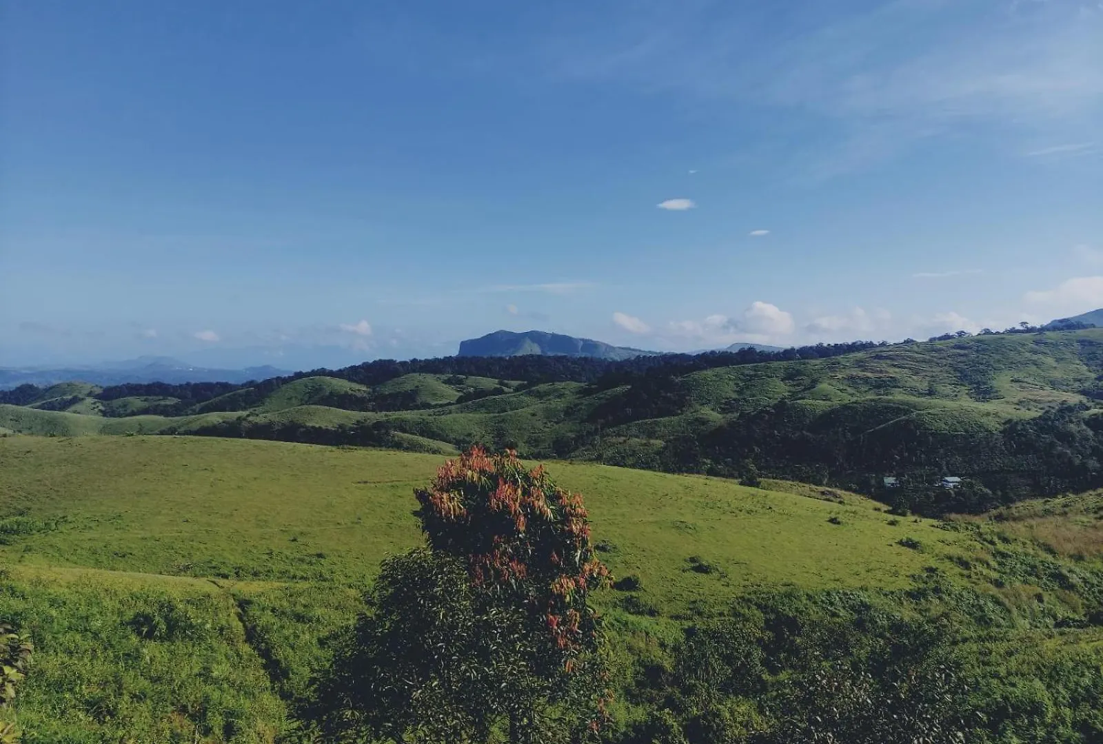 Homestay Chill Mount Vagamon Apartment India
